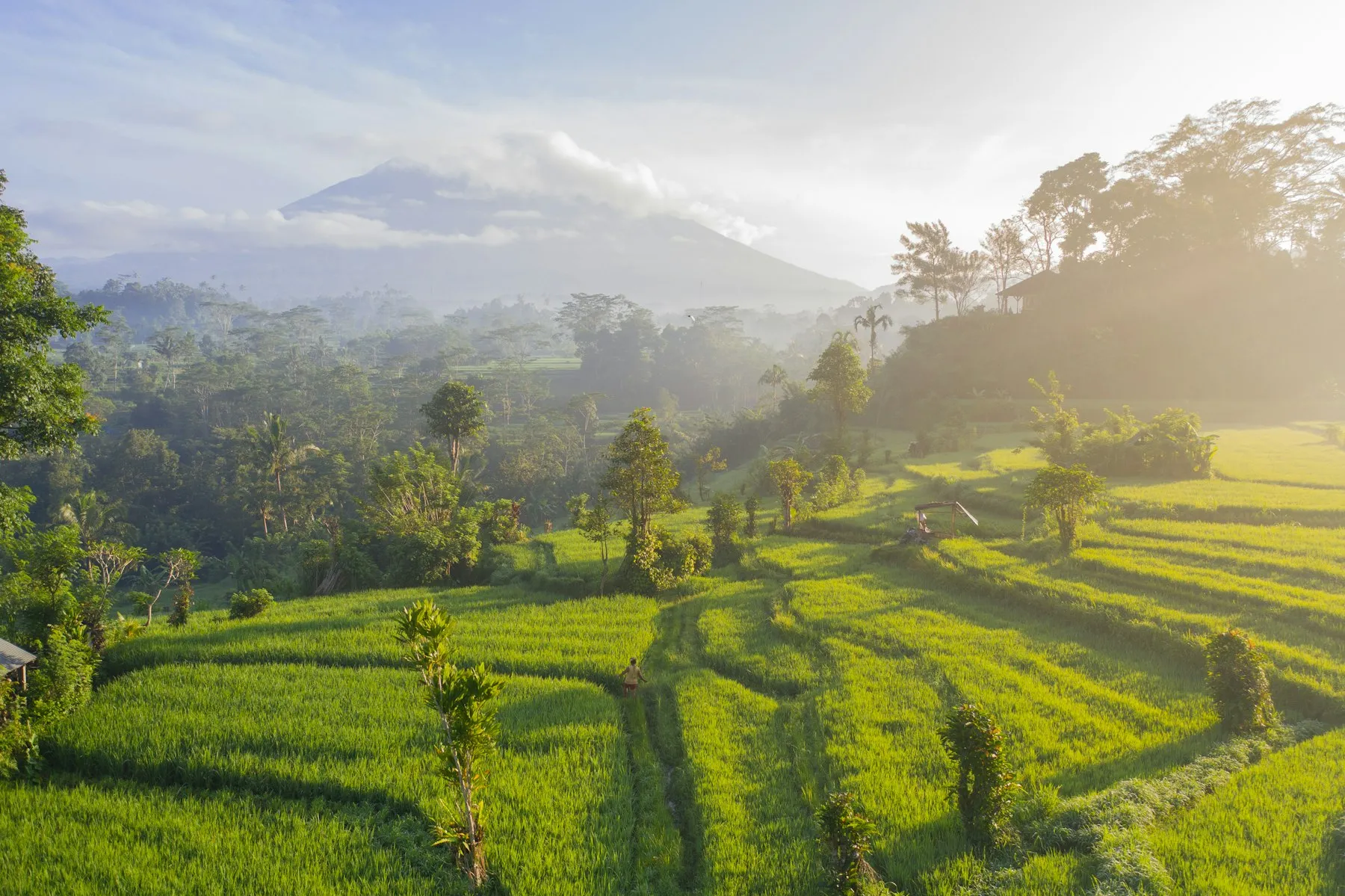 Dawn light over green rice terraces in east Bali with Mount Agung behind, the best time to visit Bali for the greenest fields