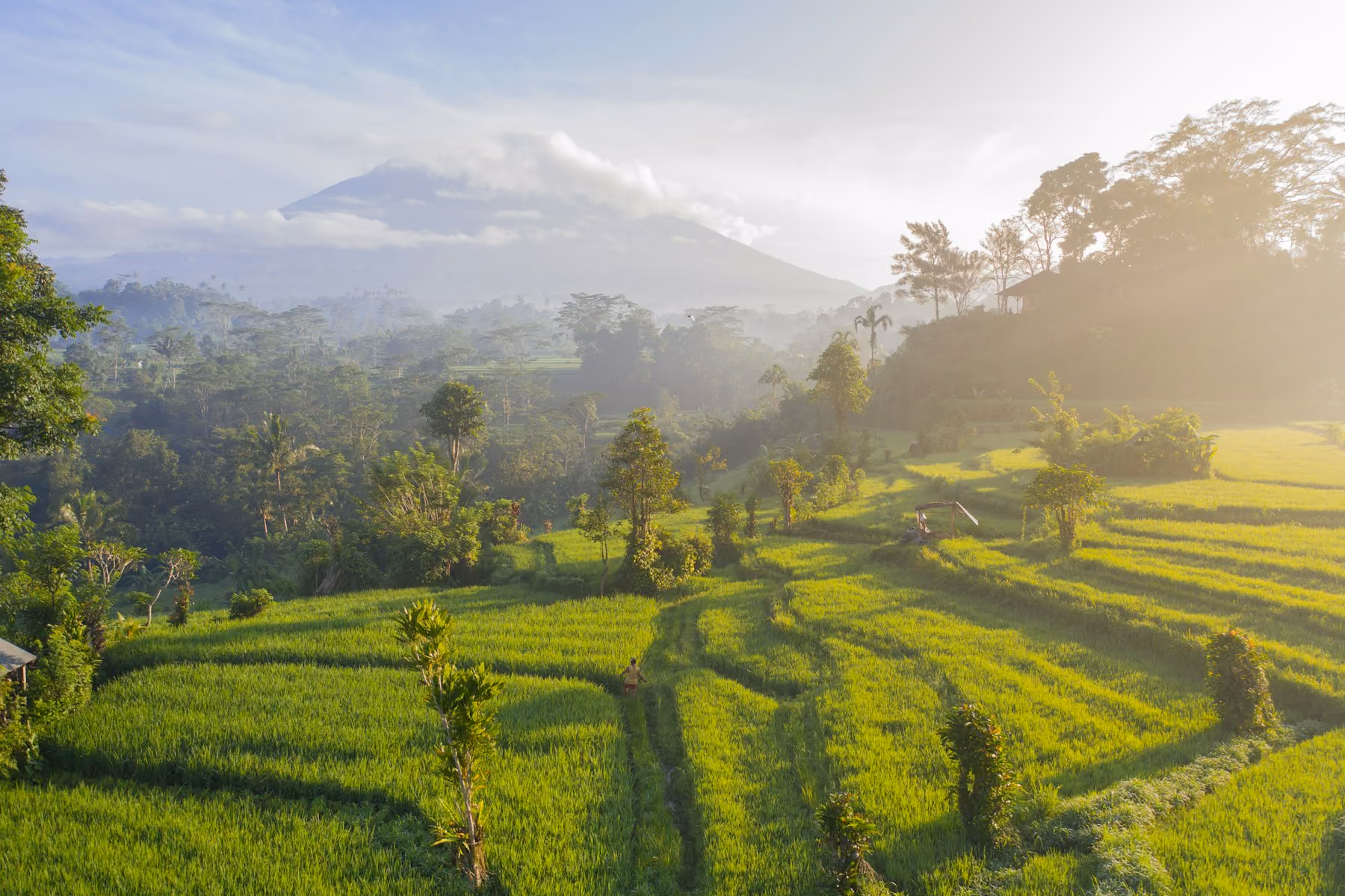 Dawn light over green rice terraces in east Bali with Mount Agung behind, the best time to visit Bali for the greenest fields