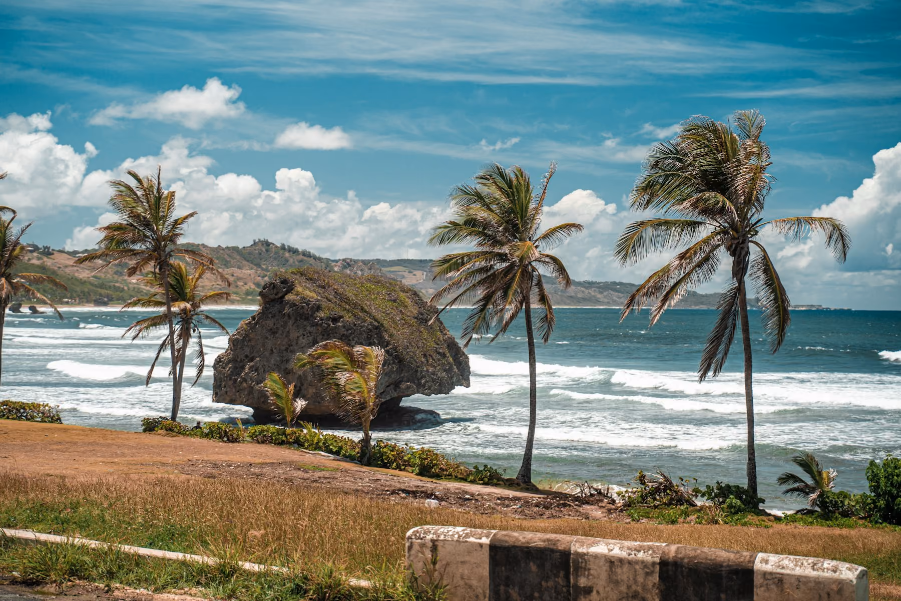 Coral boulders and windswept palms at Bathsheba on the Atlantic east coast of Barbados