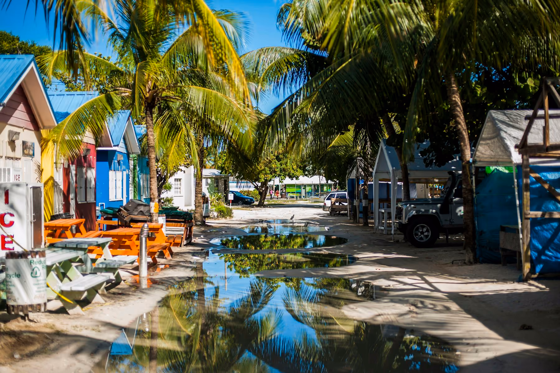 Colourful food huts and picnic tables under palm trees in Barbados