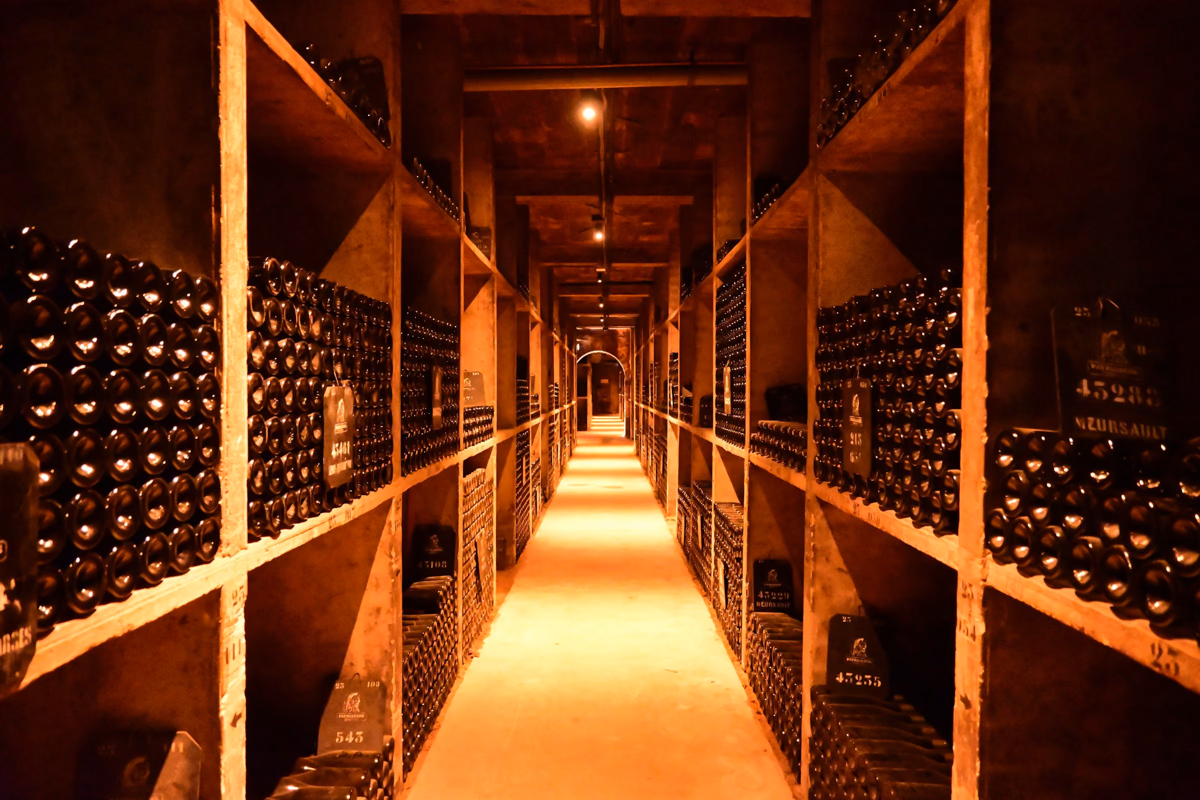 A long wine cellar lined with bottles