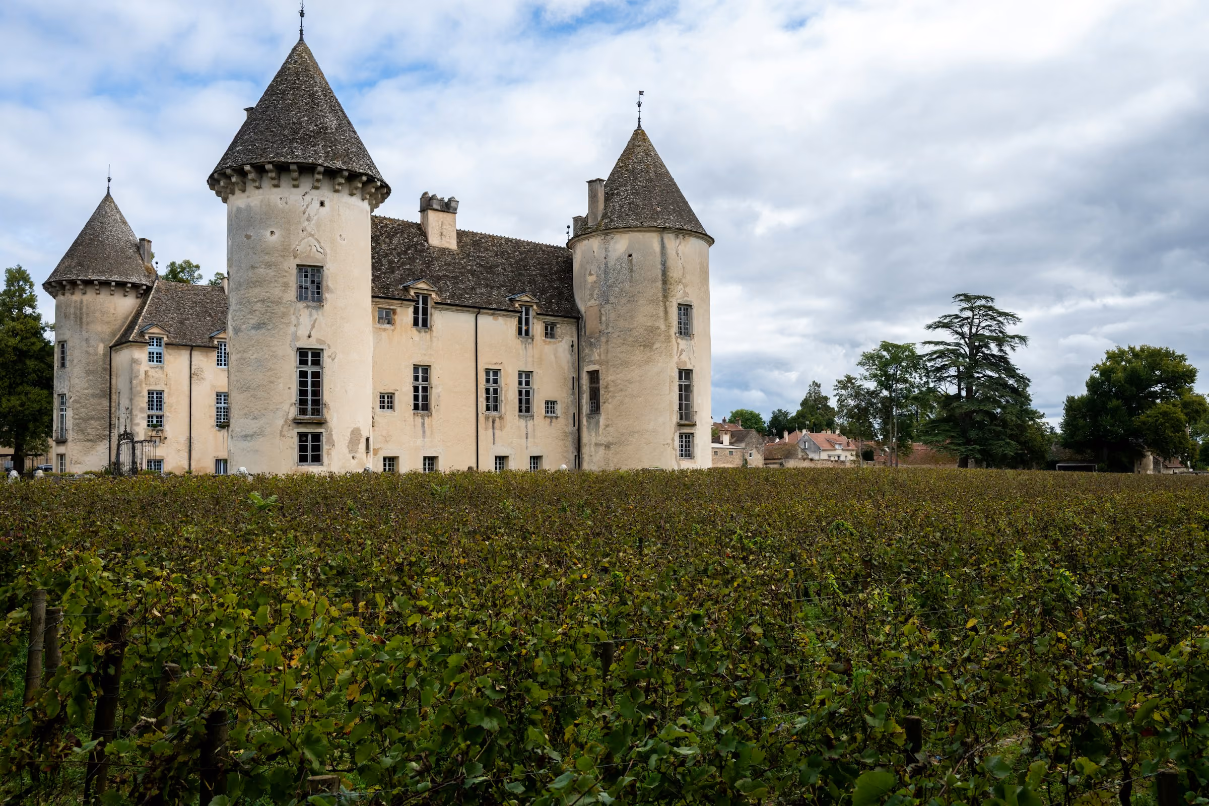 A château among vines in Burgundy