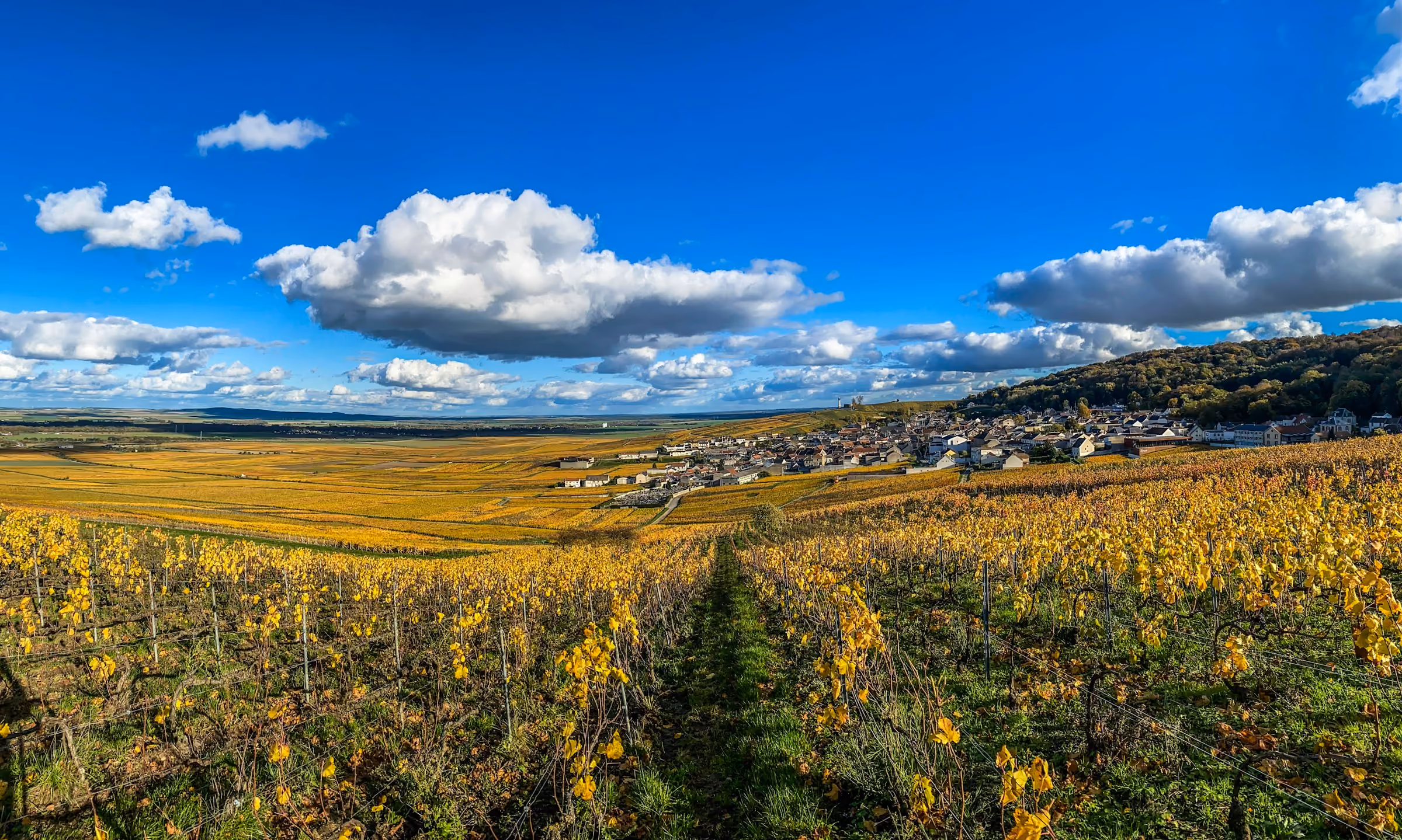 A Champagne village below vineyards on a bright day