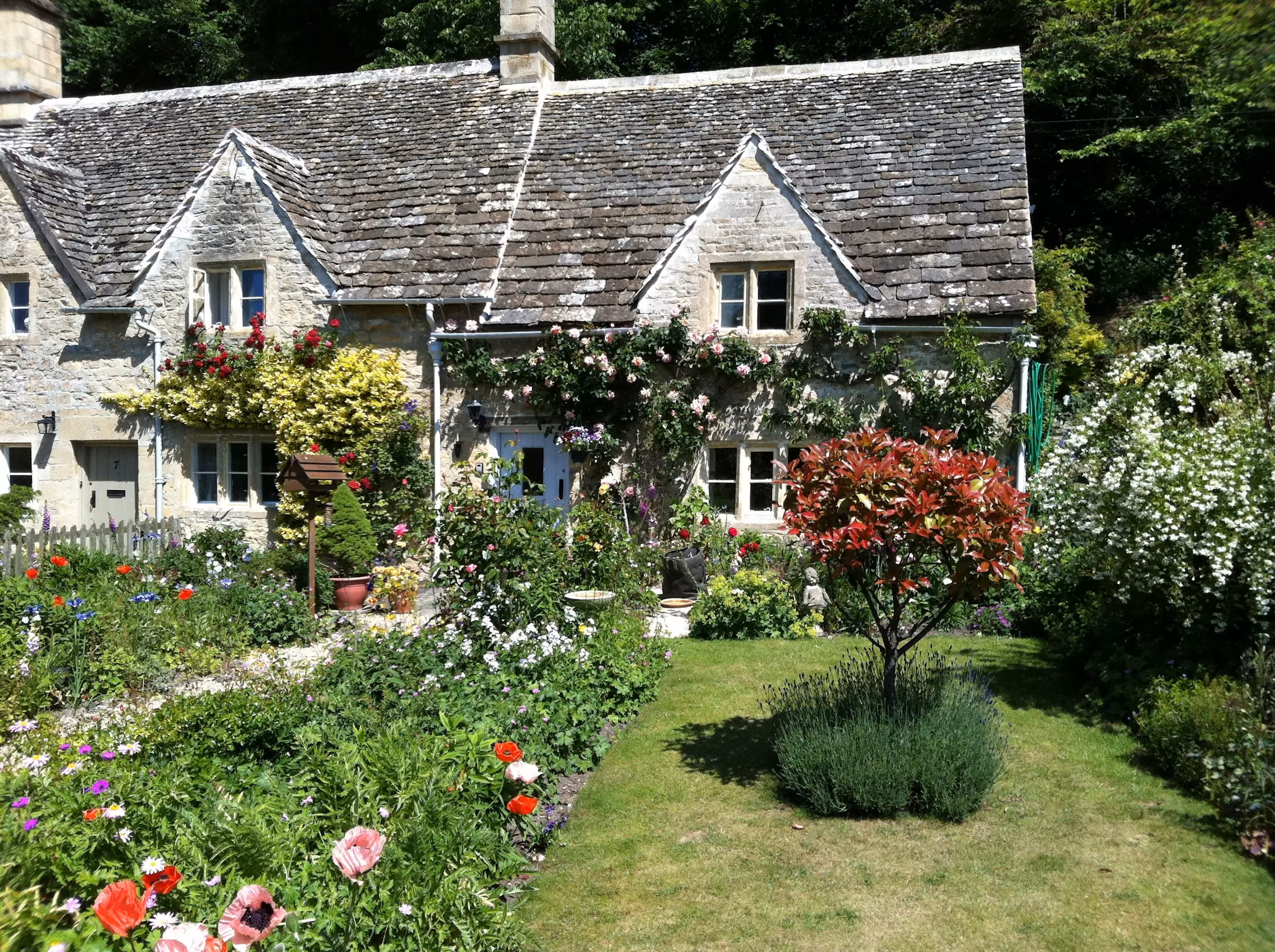 A stone cottage behind a summer garden
