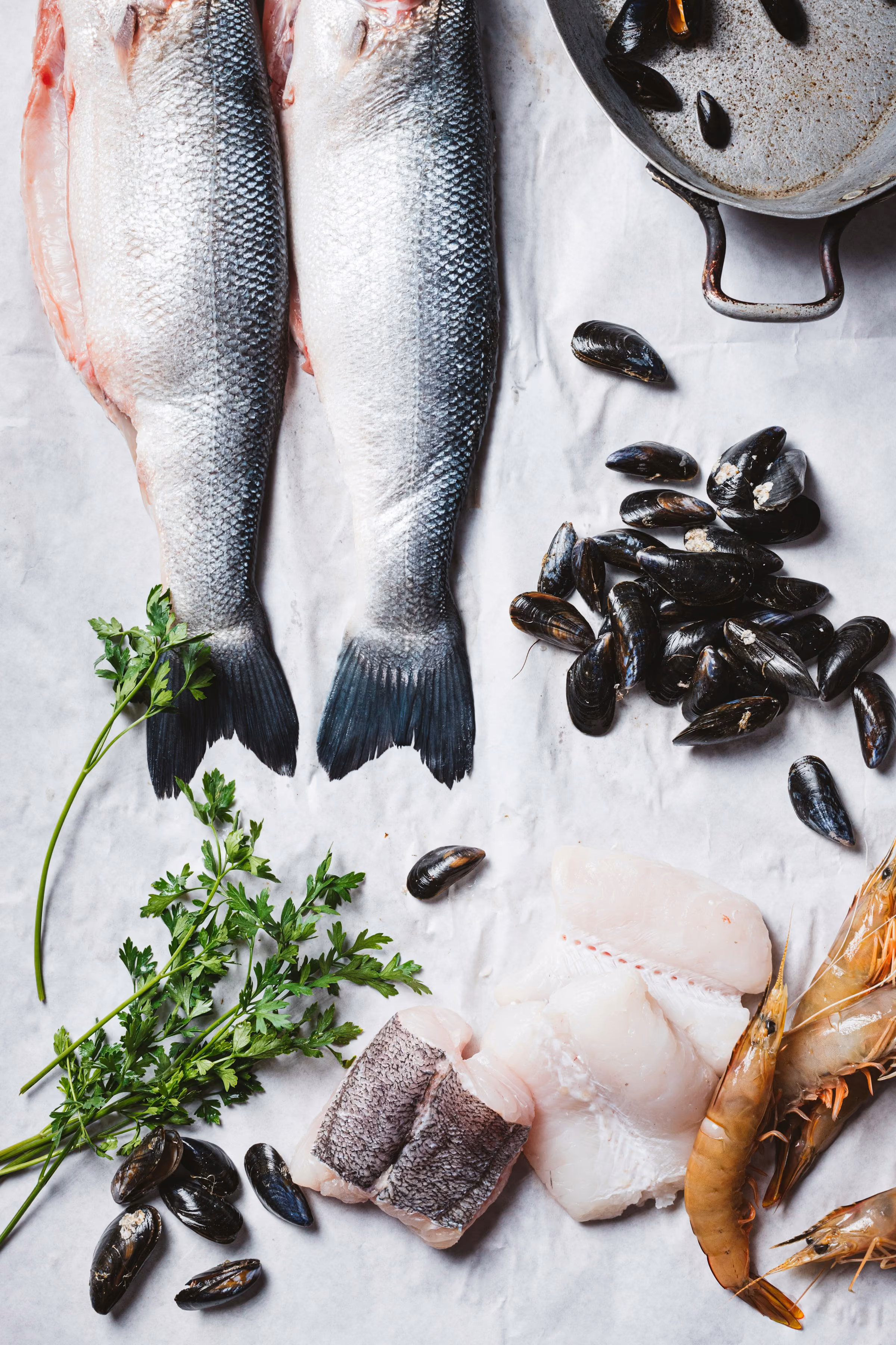 Fresh sea bass, mussels and prawns laid out on a white table