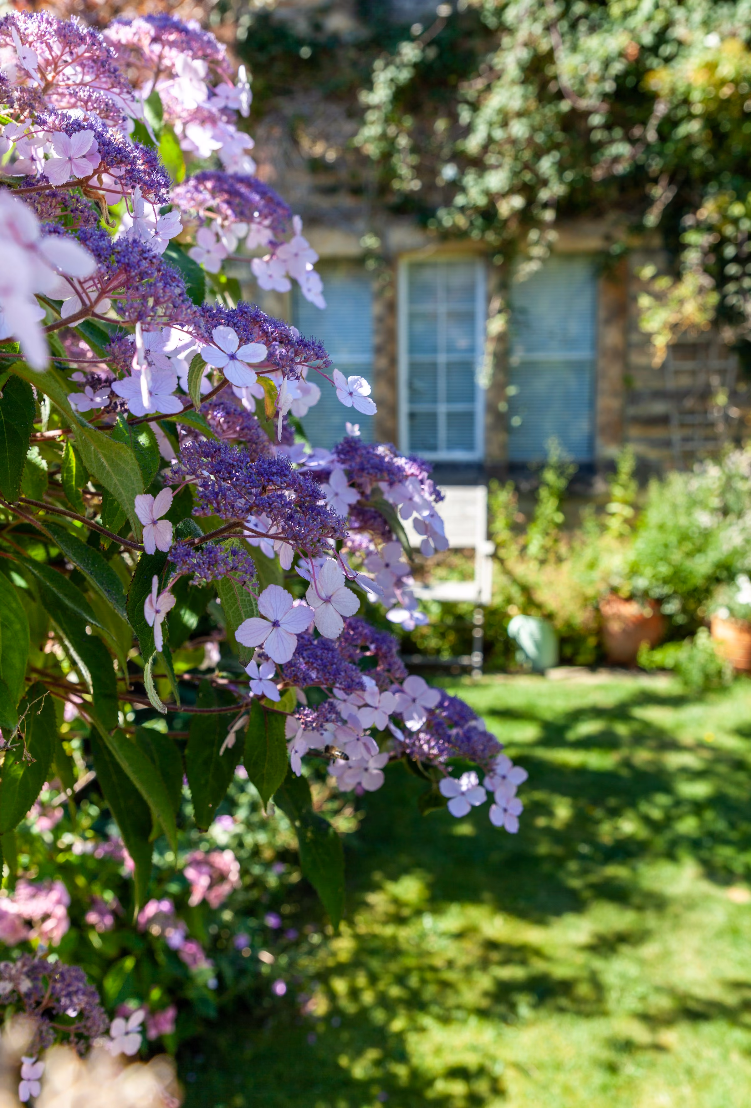 Flowers in bloom in front of a country house window
