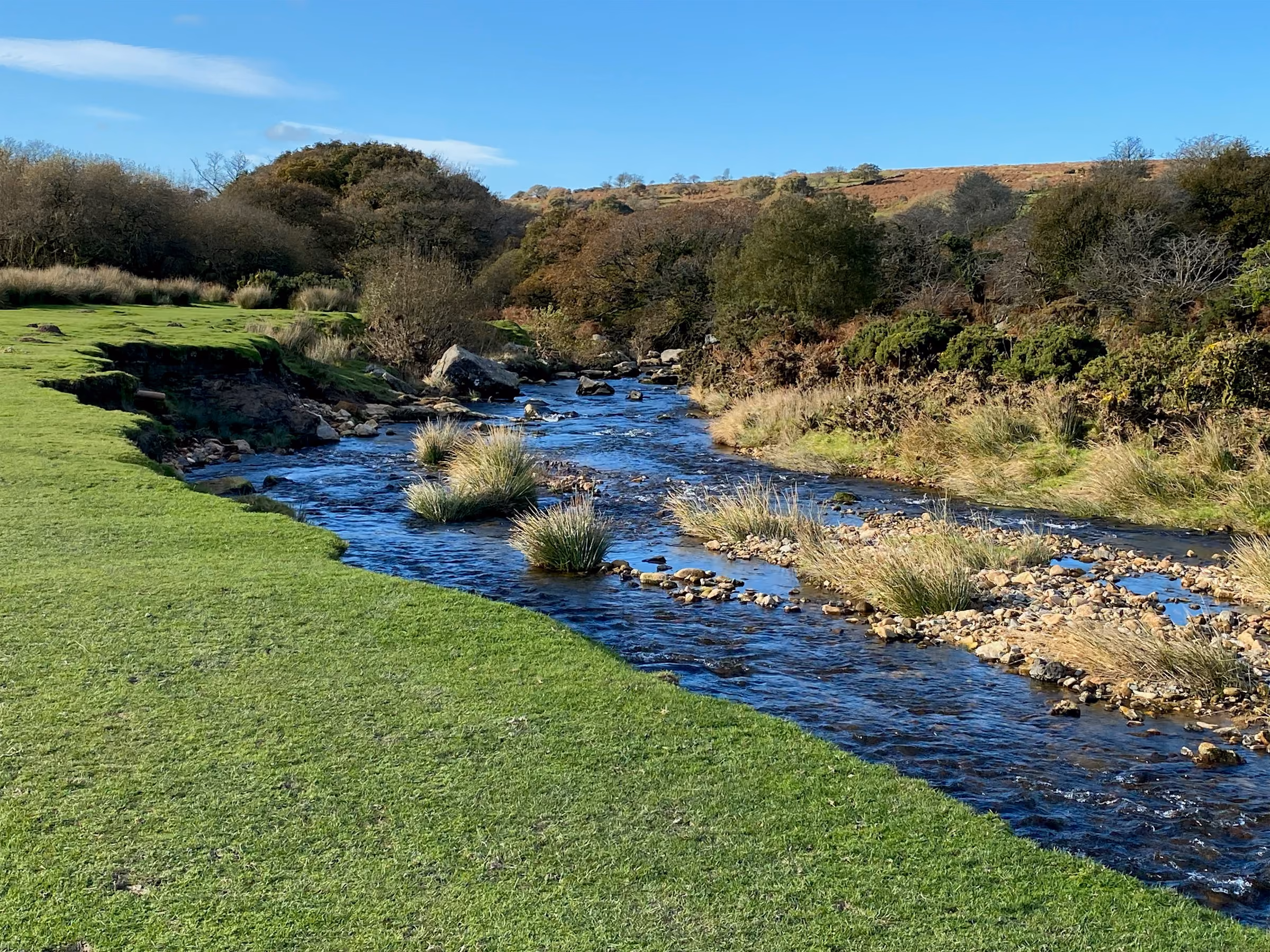 A shallow stream winding through moorland grass