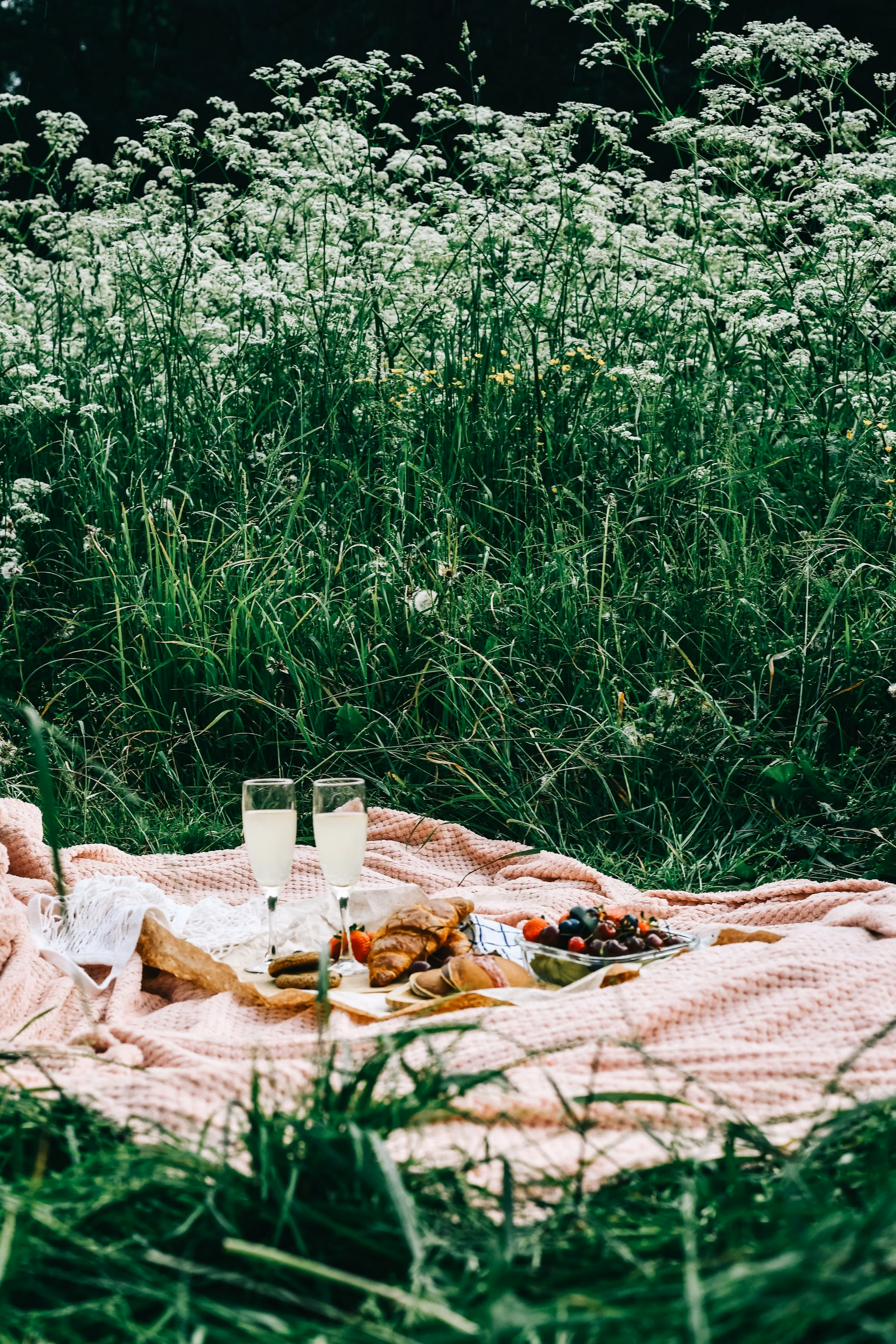 Glasses of fizz on a picnic blanket in long grass