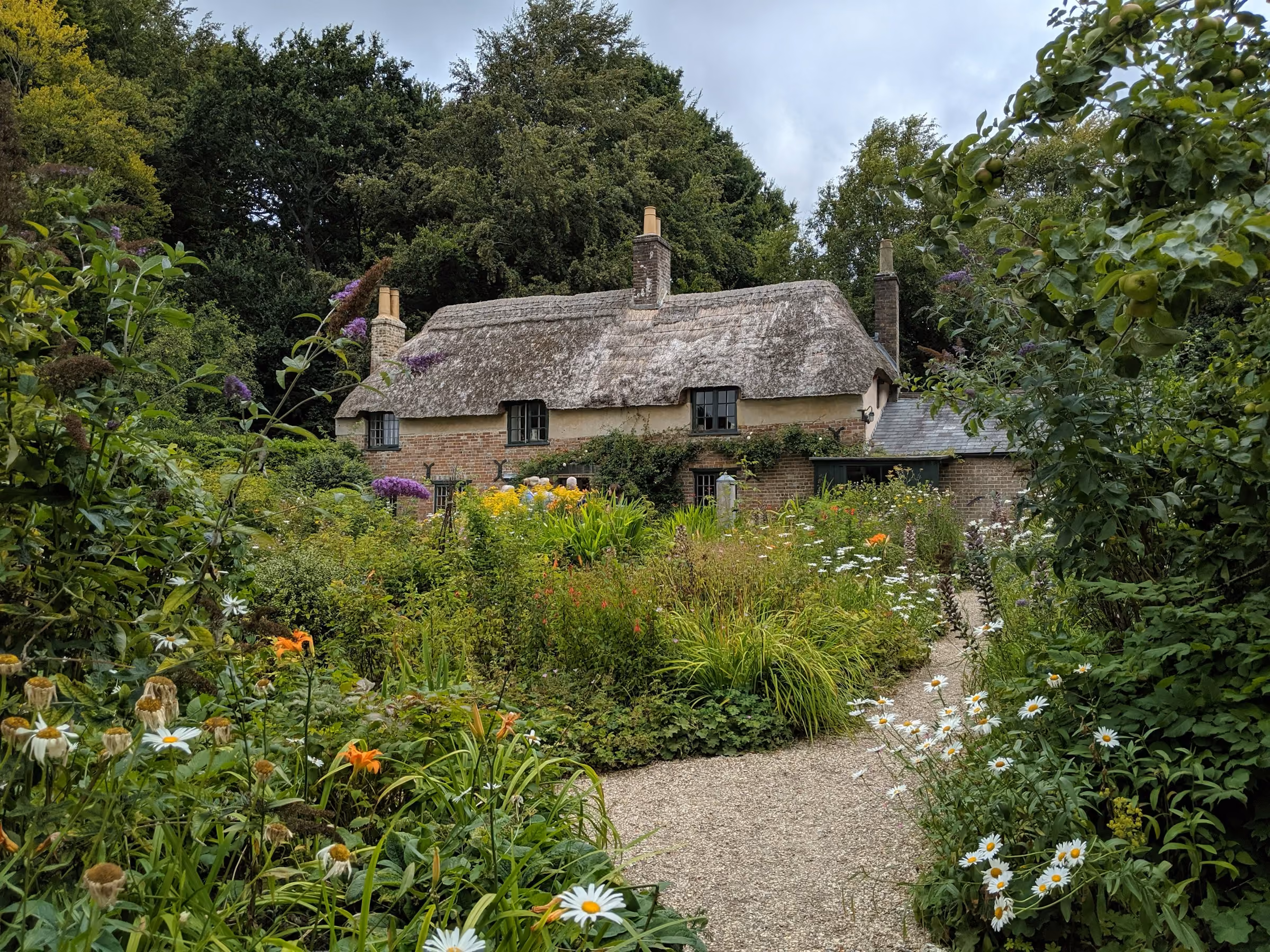 A thatched cottage behind a lush summer garden