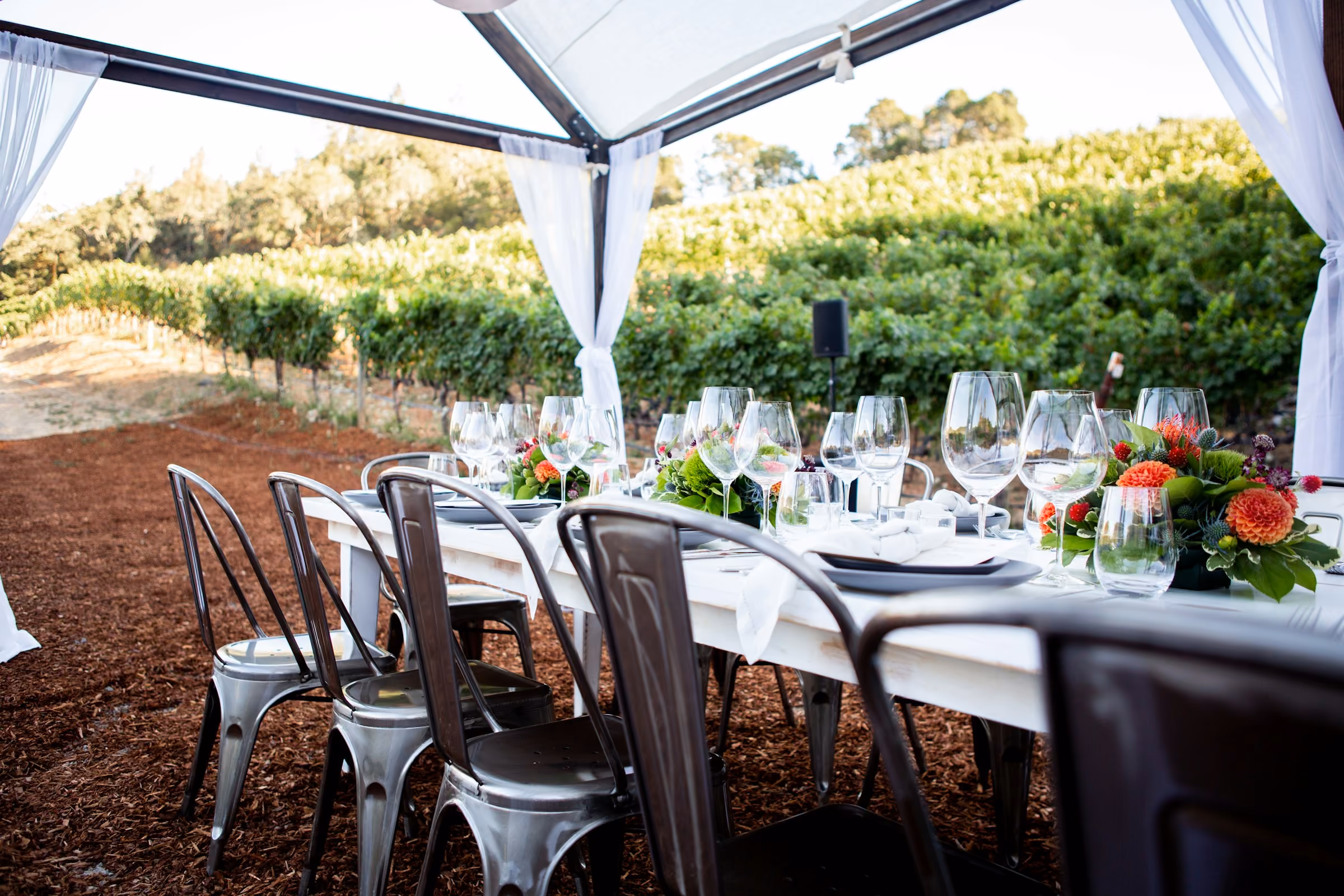 A dinner table set under a canopy at a vineyard