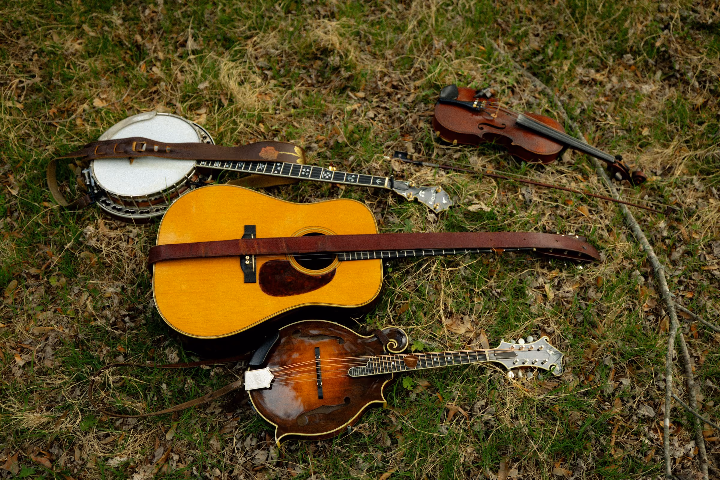 A fiddle, guitar and mandolin on the grass