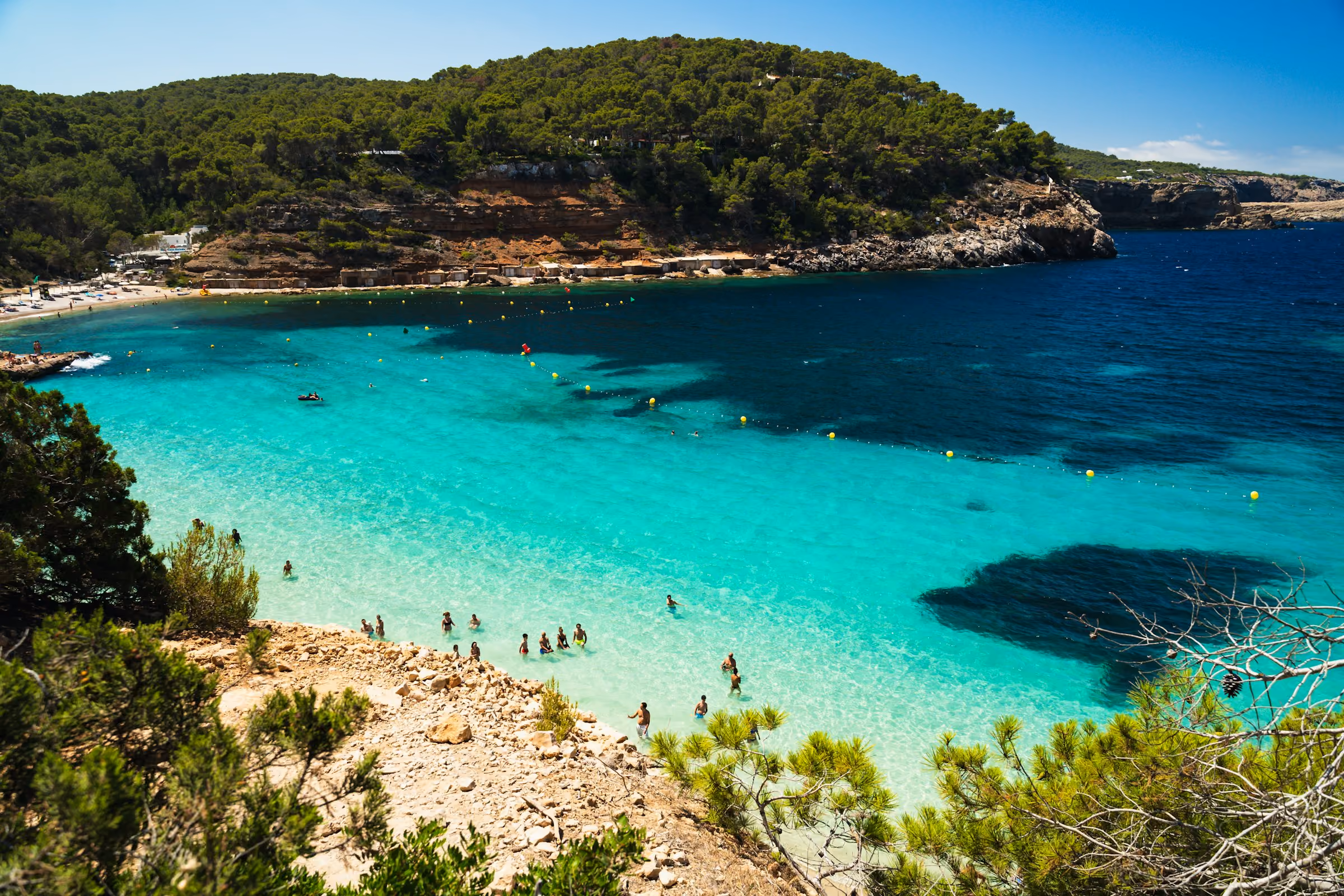 A pine-backed turquoise bay on Ibiza