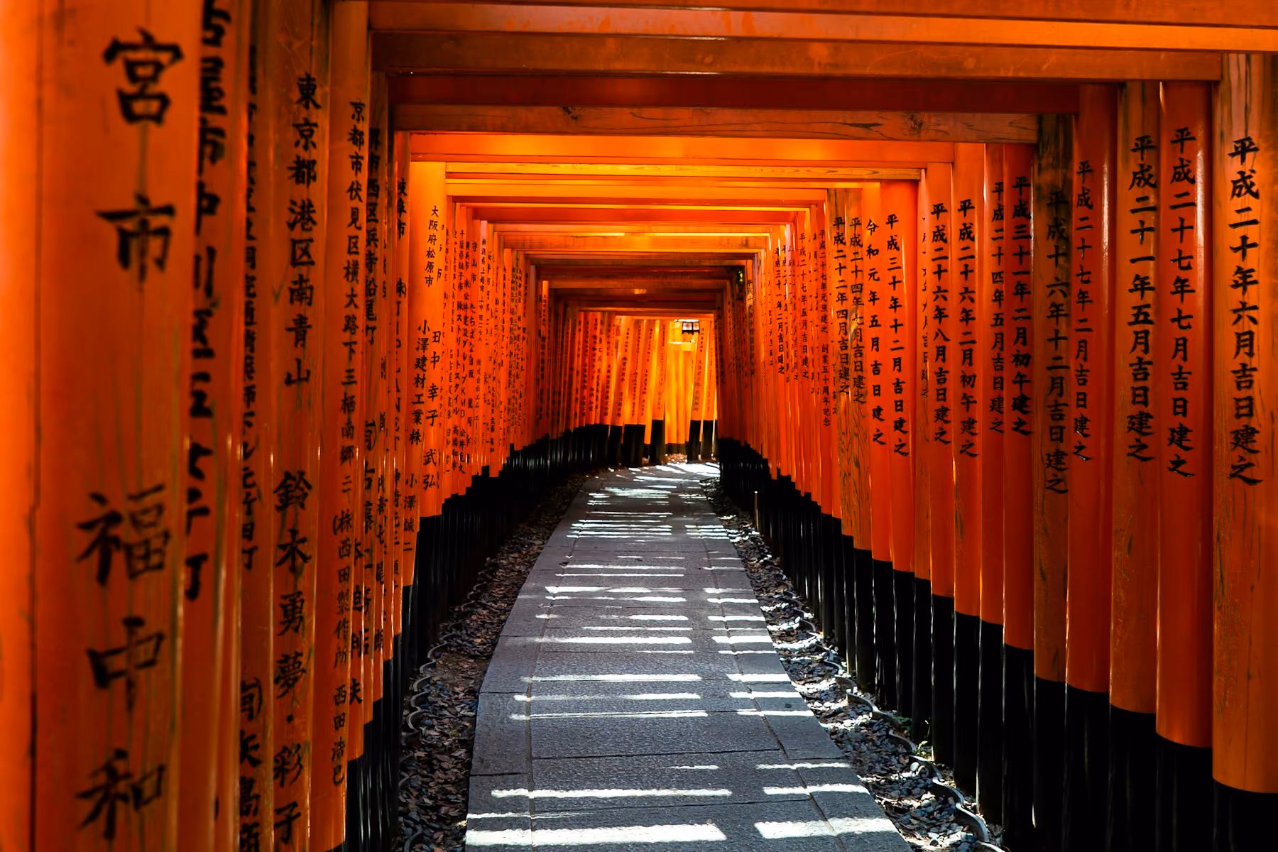 An empty path through the vermilion torii gates of Fushimi Inari in Kyoto