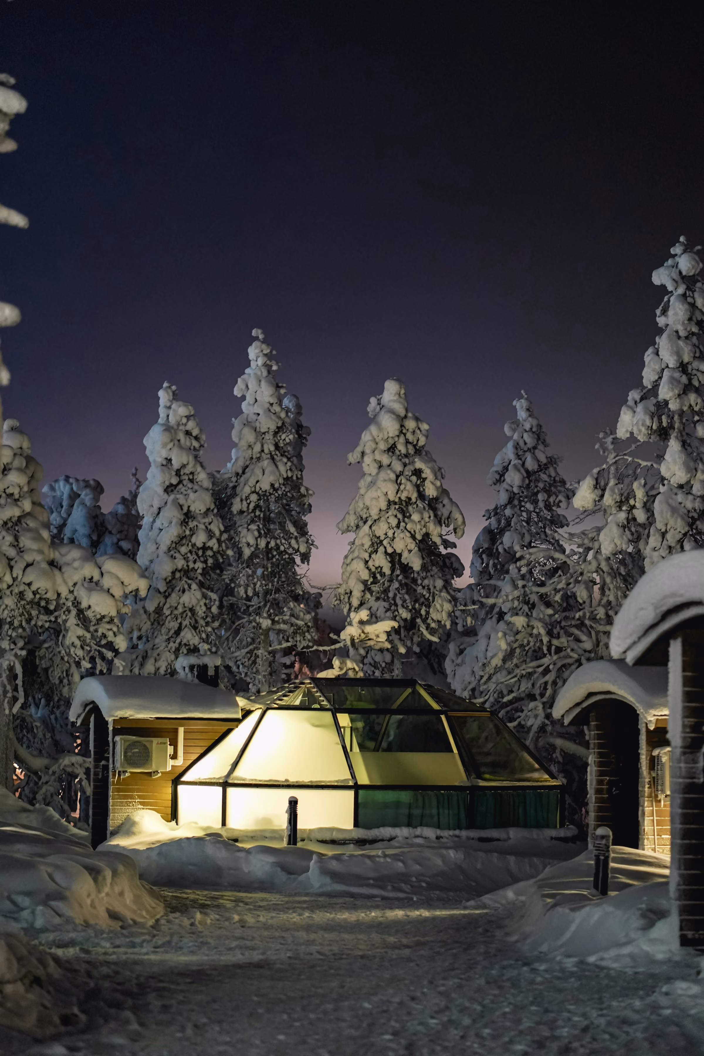 A lit glass igloo among snowy pines at night
