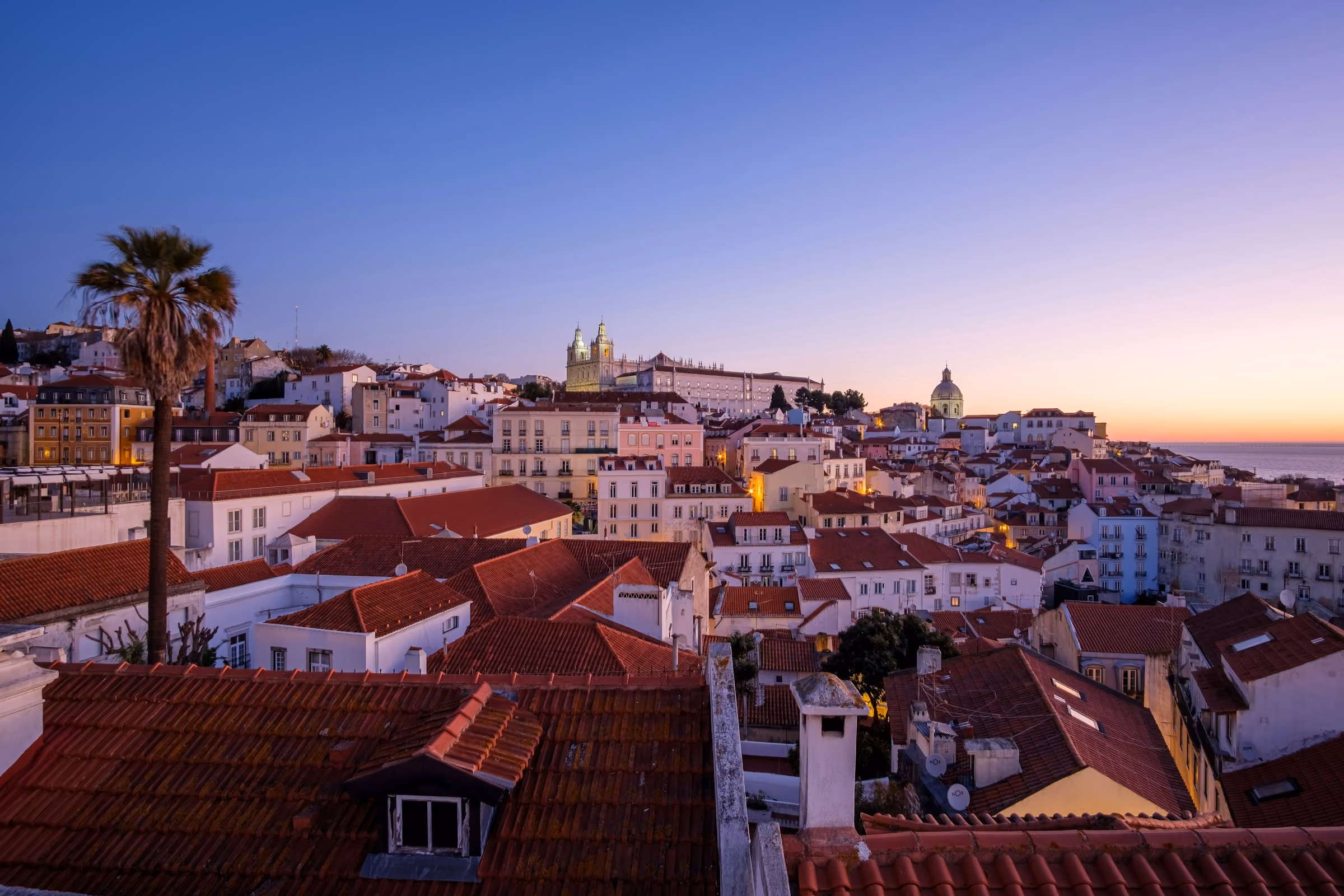 Lisbon's rooftops and a palm tree at sunset from a miradouro