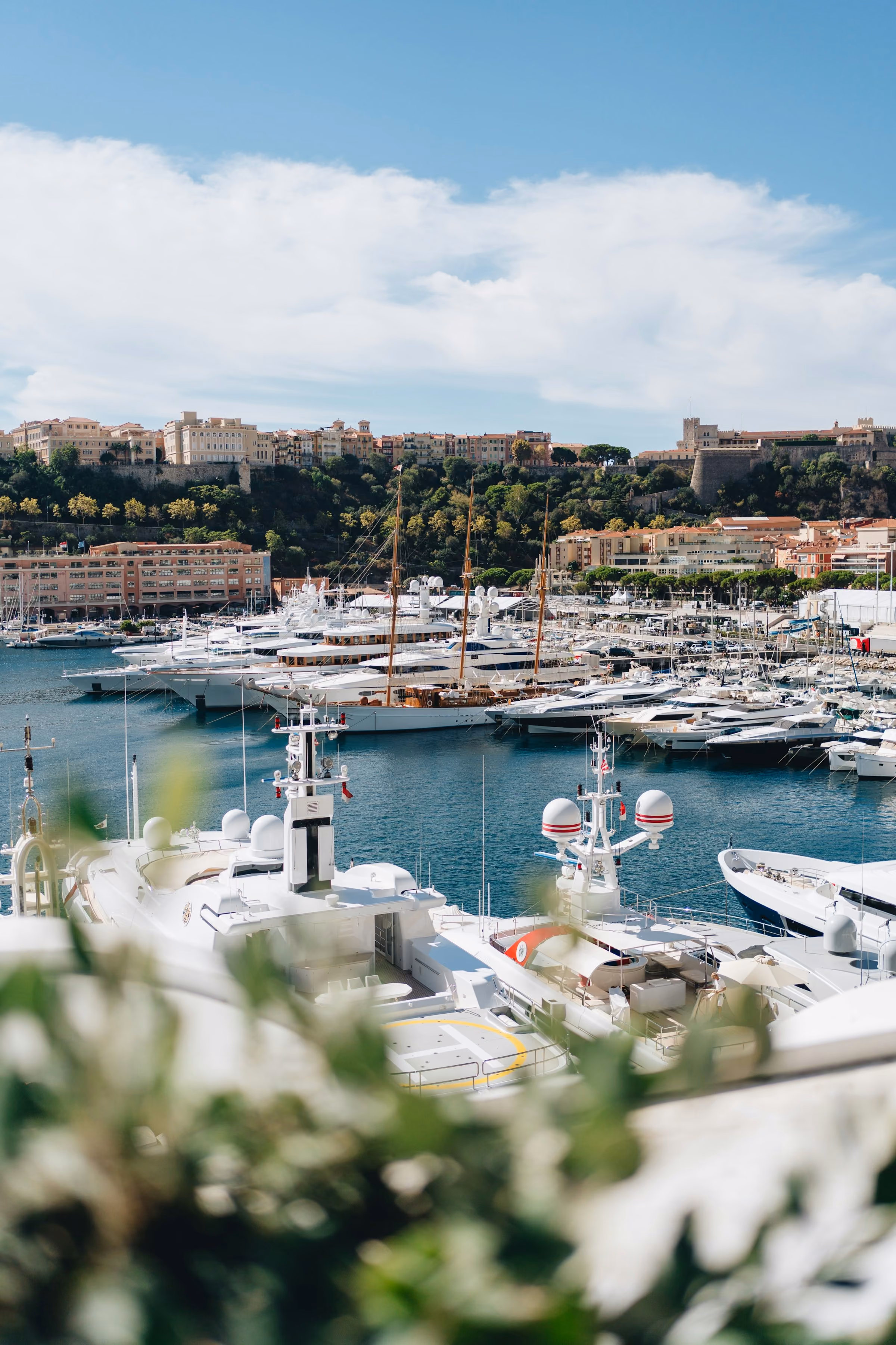Monte Carlo's harbour and buildings above the sea