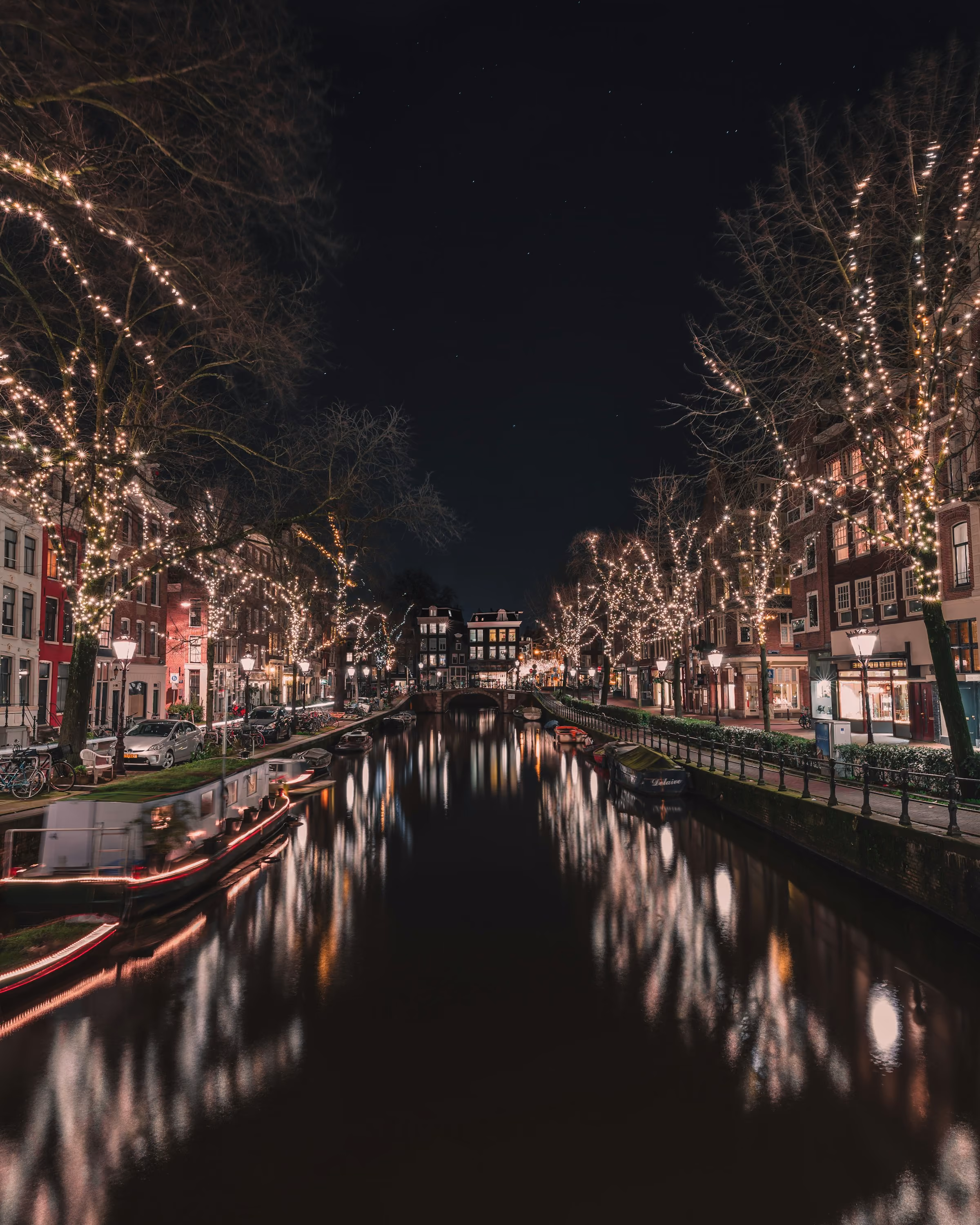 Trees strung with lights along an Amsterdam canal
