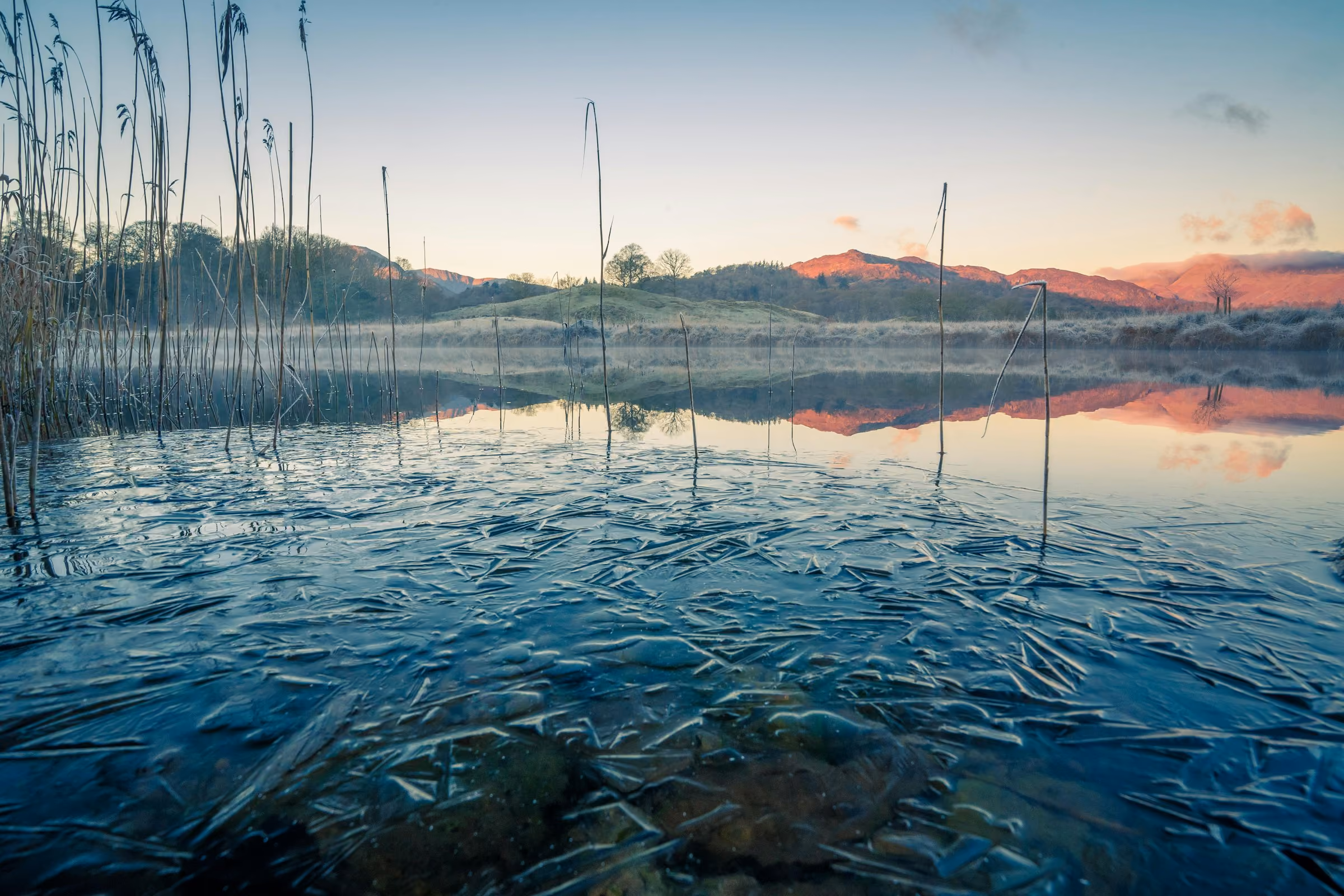 Ice on the shore of a lake at dawn