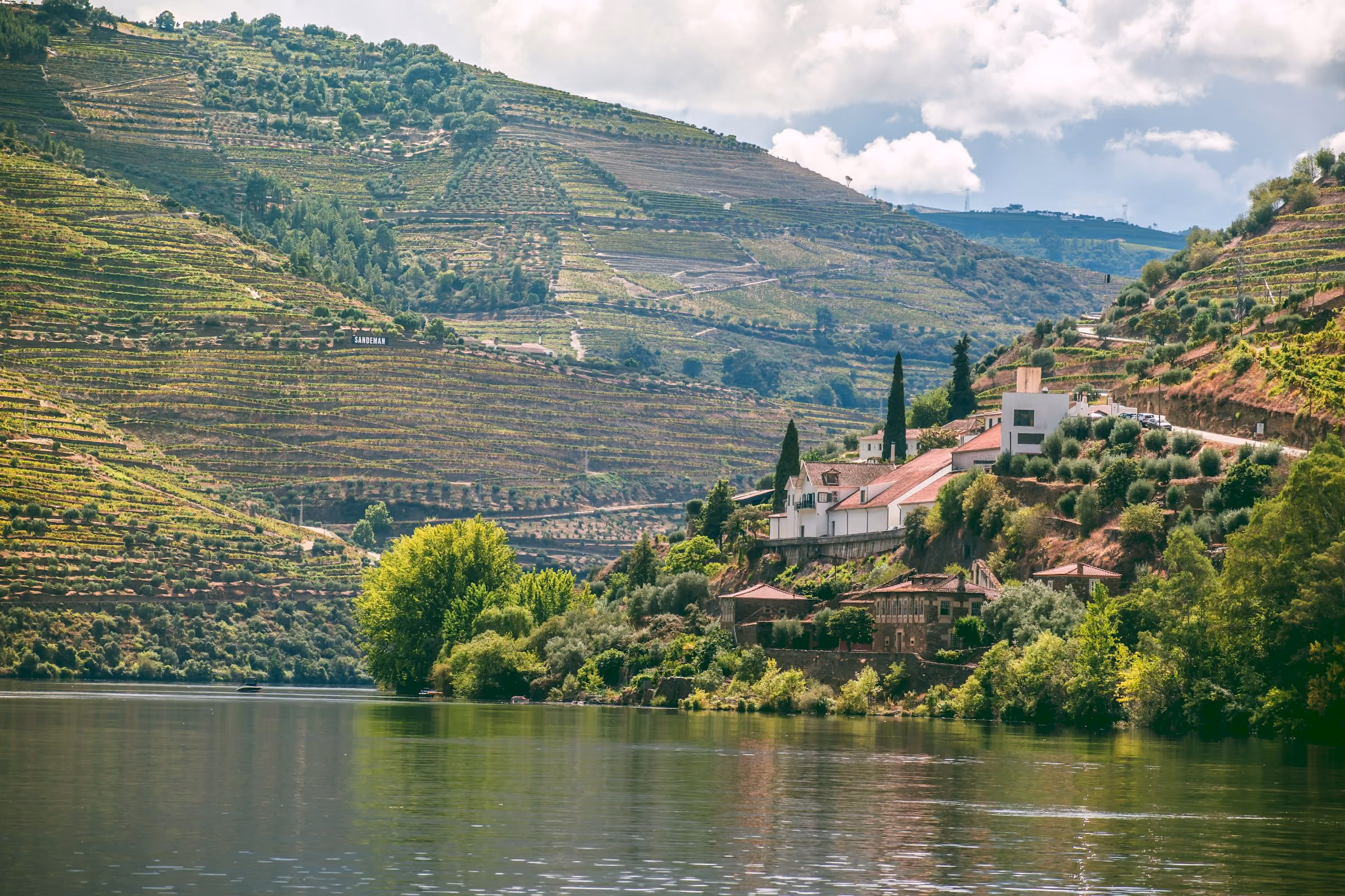 Terraced vineyards in the Douro Valley above the river