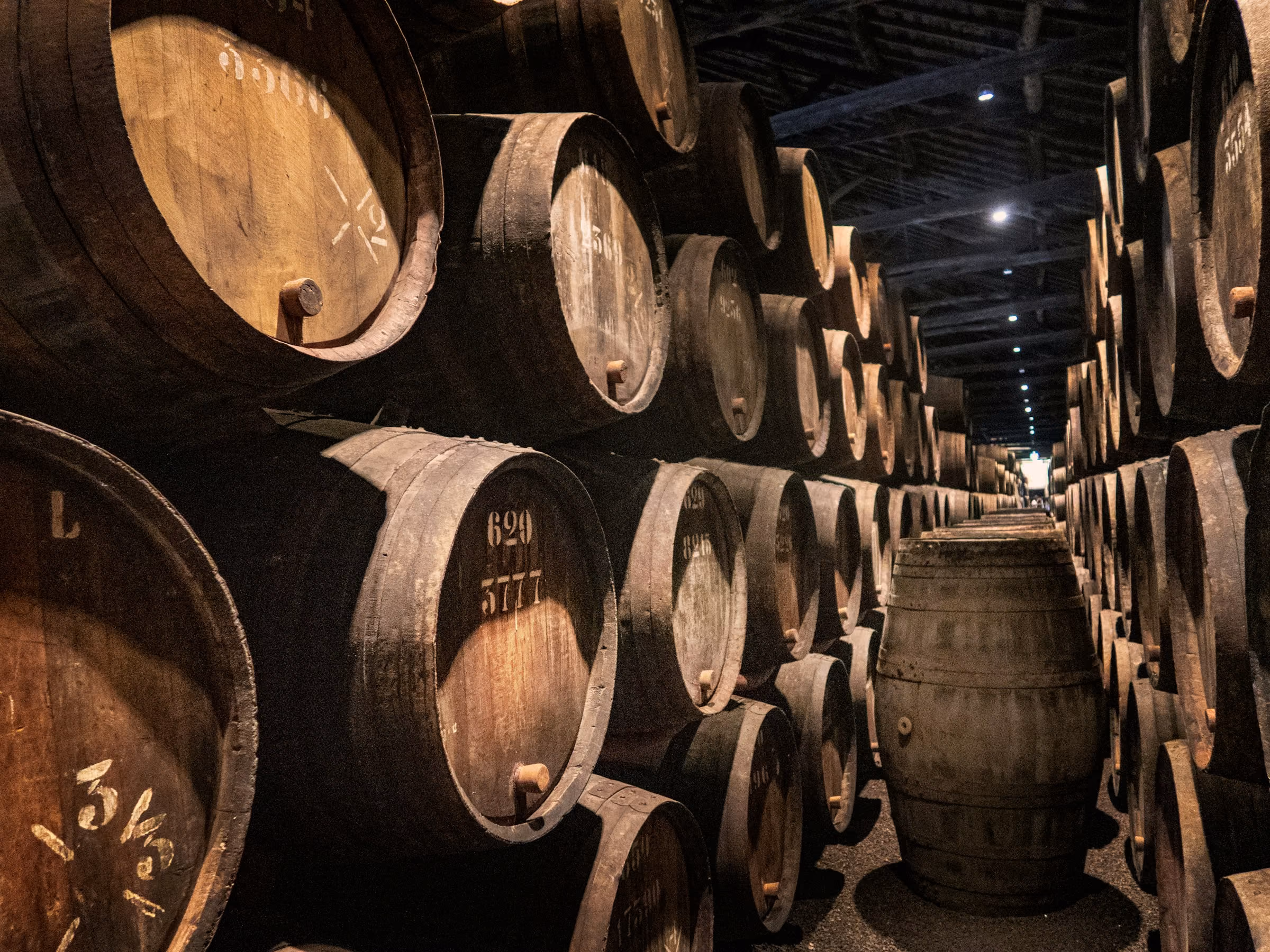 Port barrels in a cellar in Vila Nova de Gaia