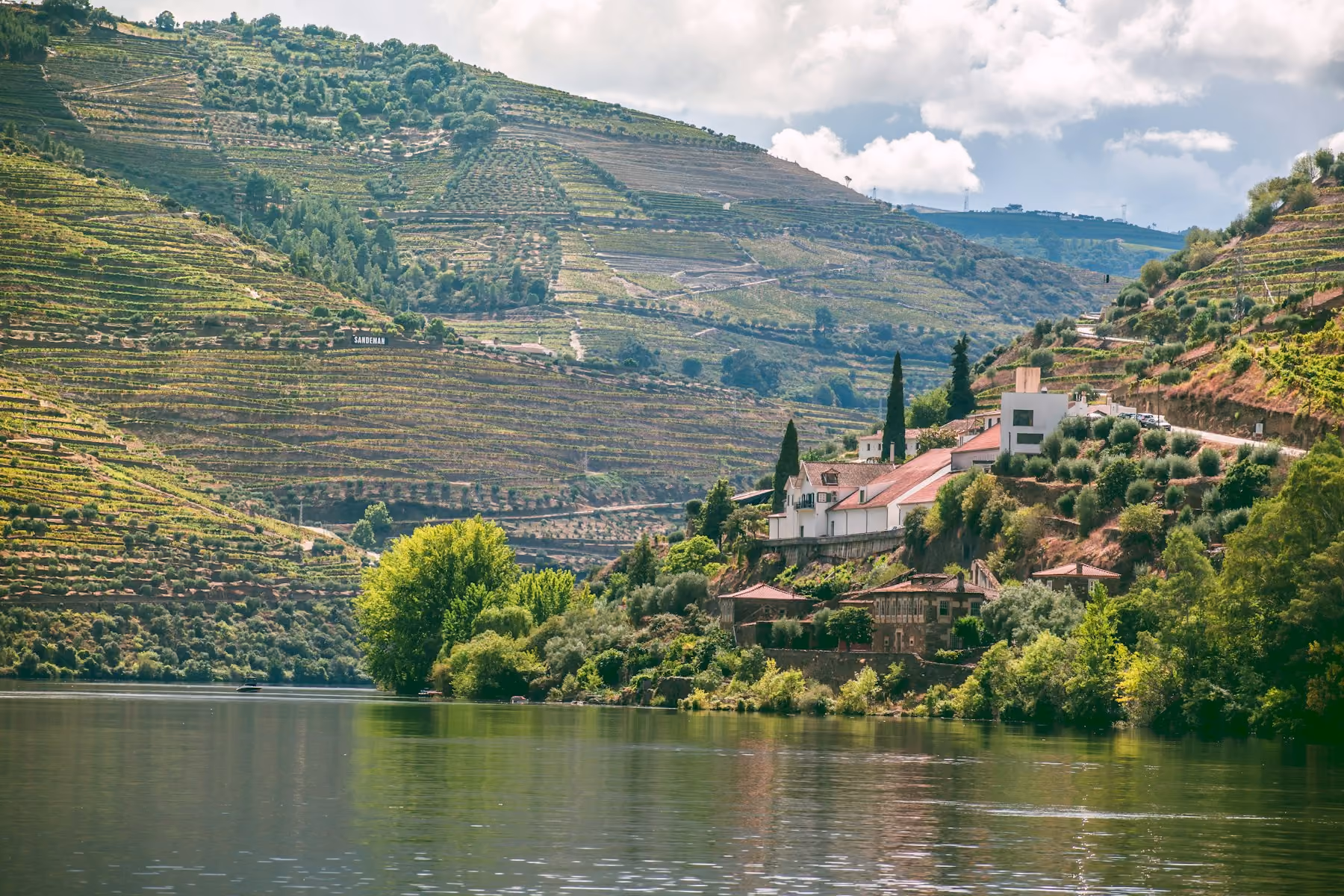 Terraced vineyards above the Douro river