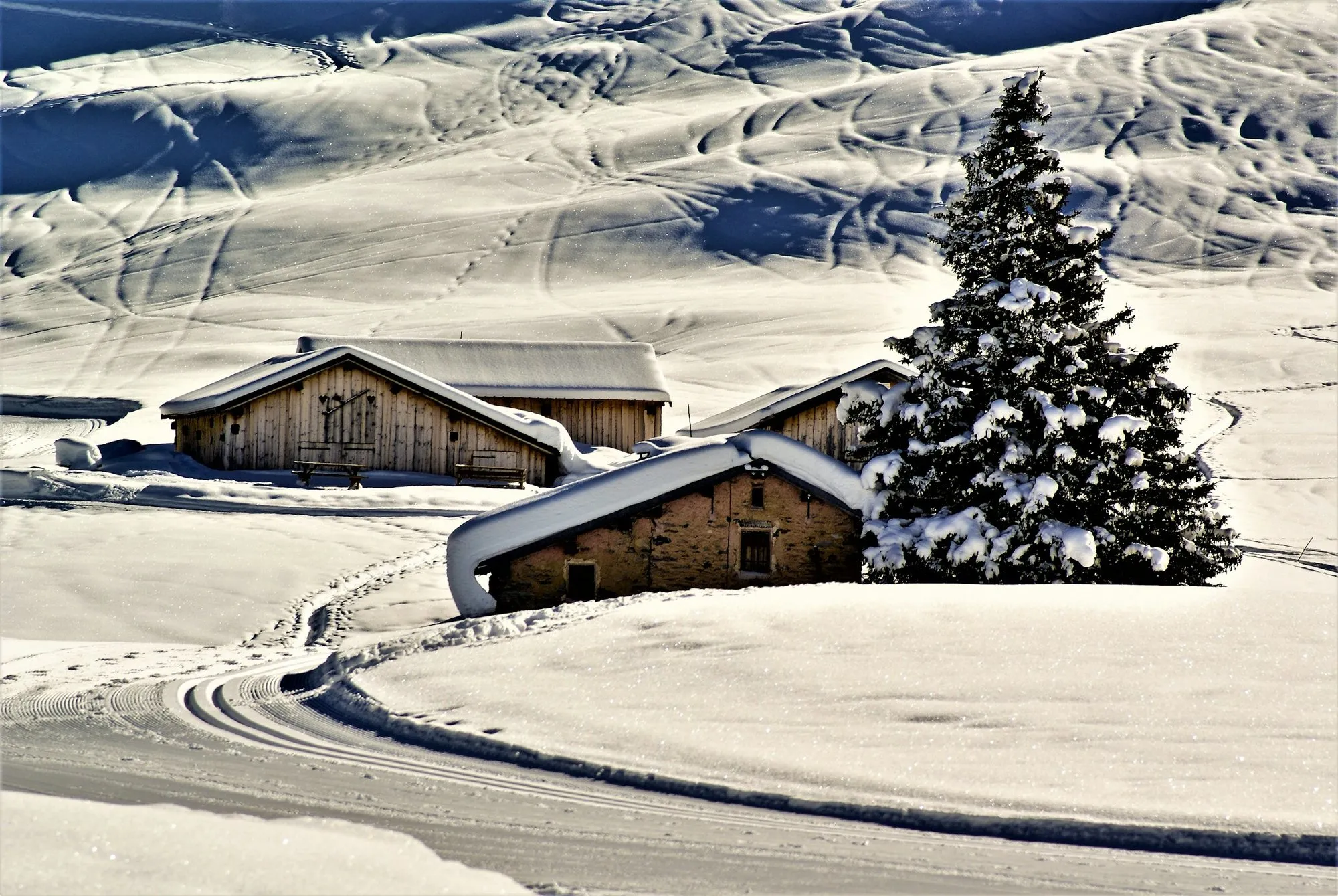 A snowy chalet and fir tree in Courchevel