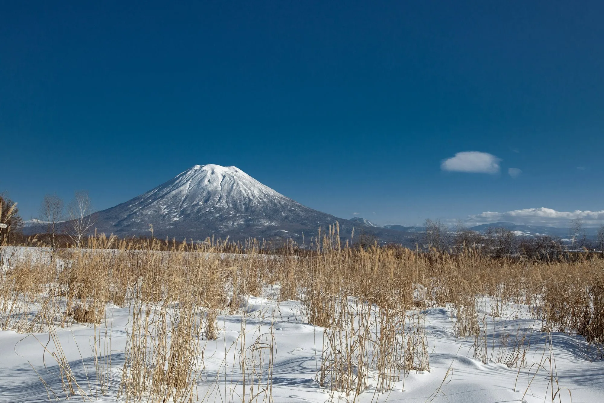 Mount Yotei under snow, seen from Niseko