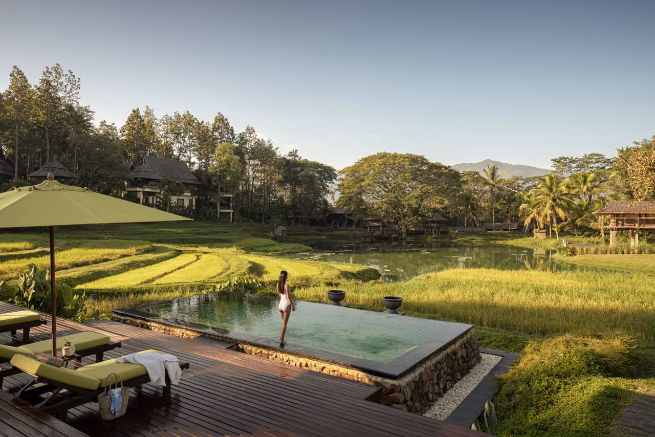 A guest at the edge of an infinity pool on a timber deck above the rice paddies at Four Seasons Resort Chiang Mai